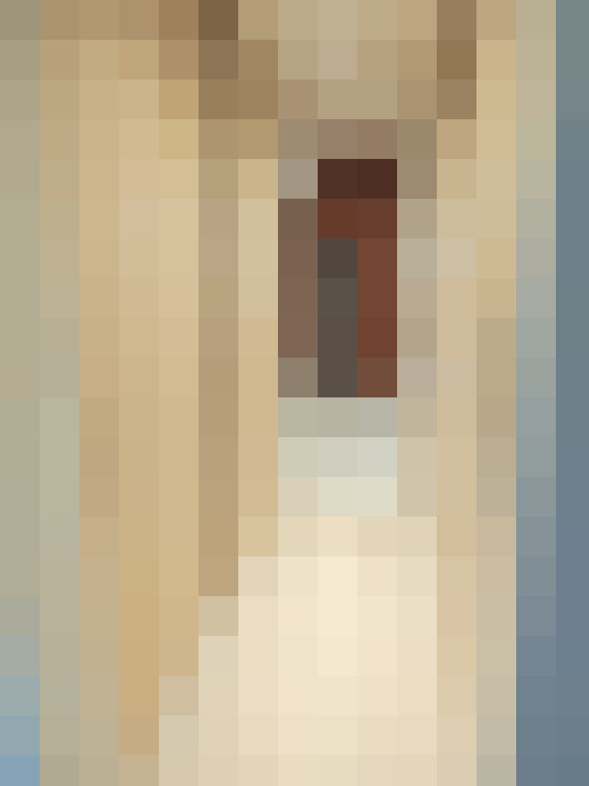  / #20