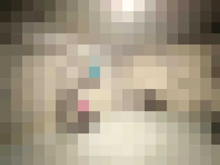  / #15