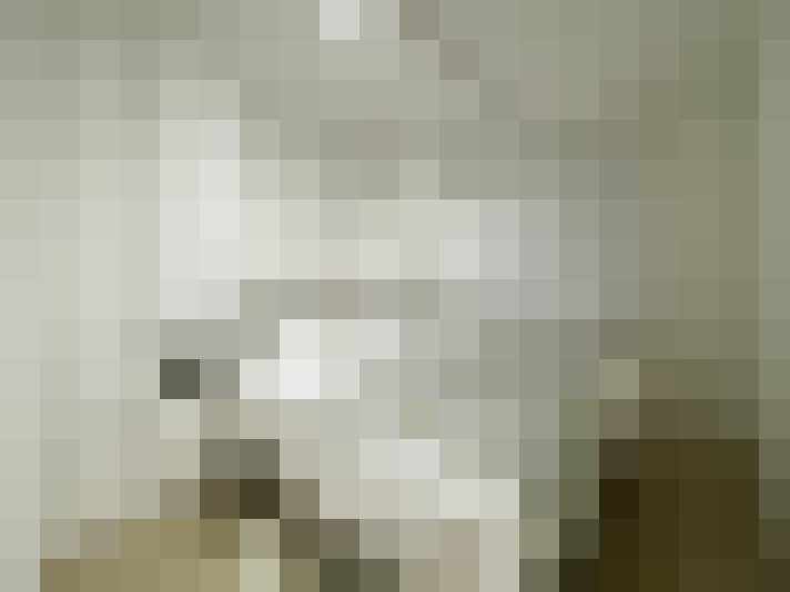  / #12