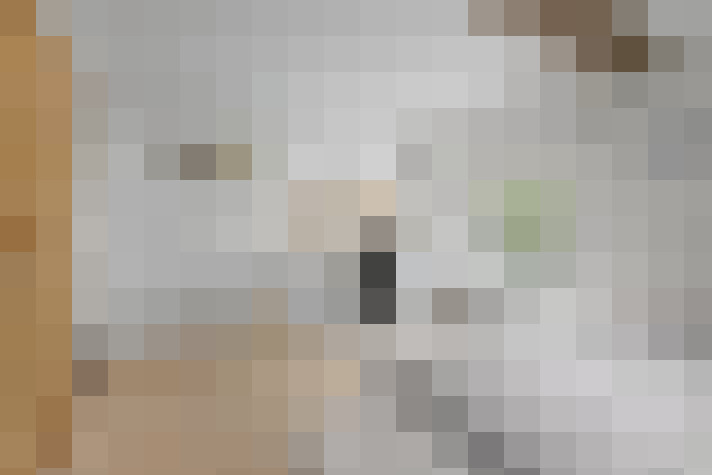  / #20