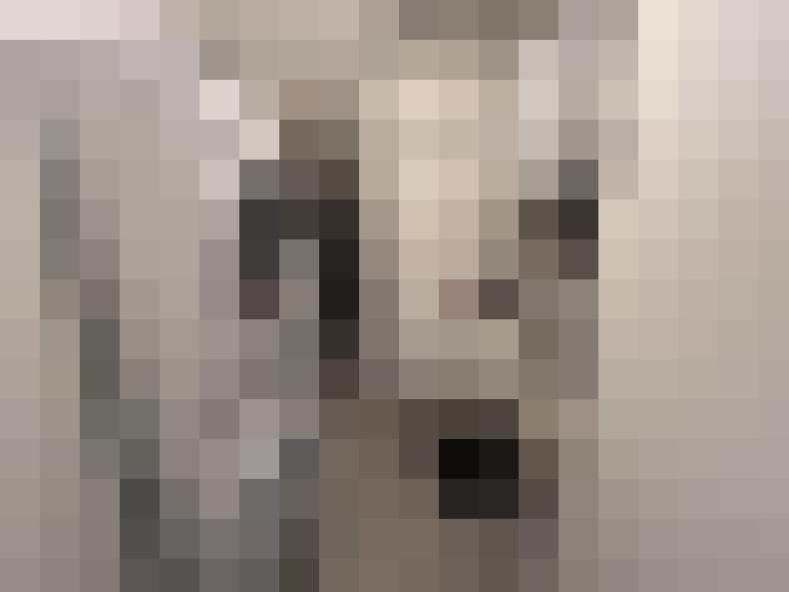  / #13