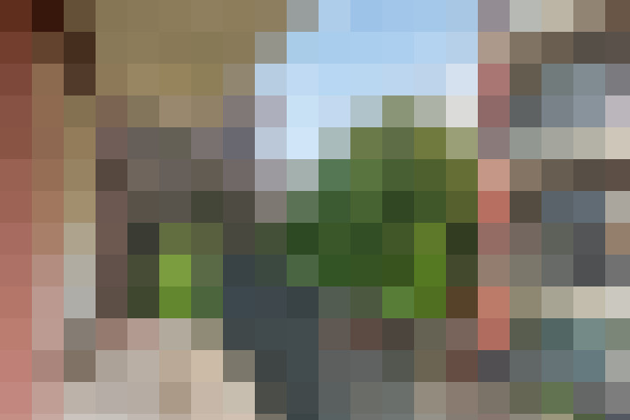  / #15