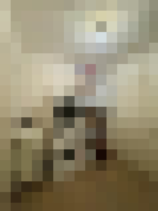  / #11
