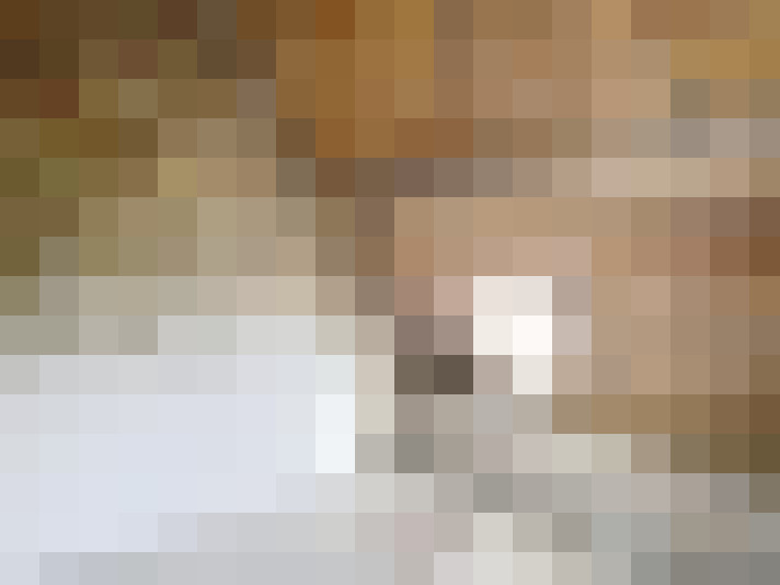 / #14