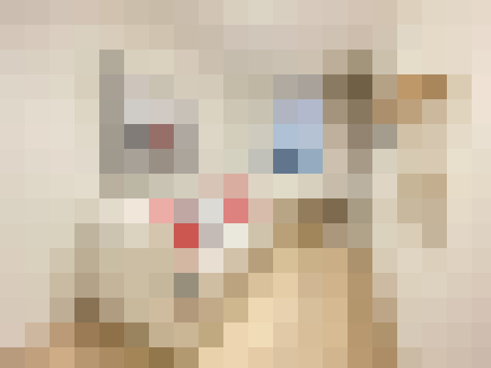  / #8