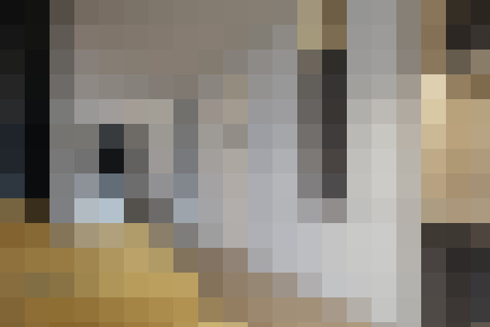  / #21