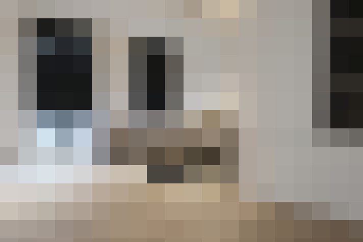  / #20