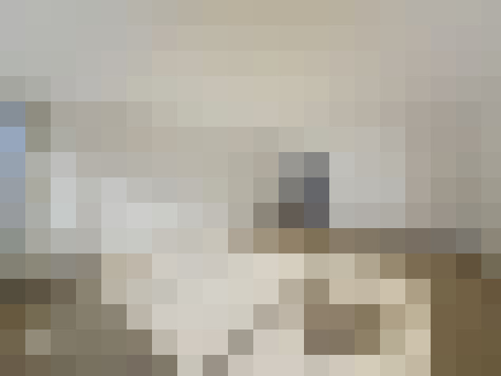  / #16