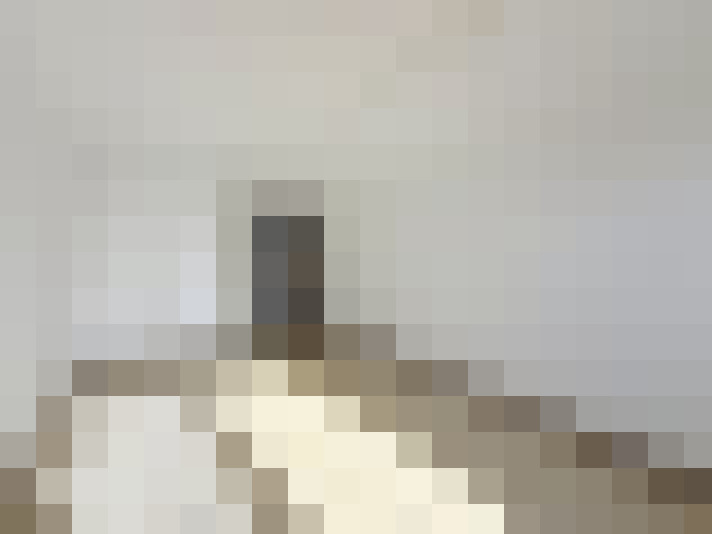  / #24