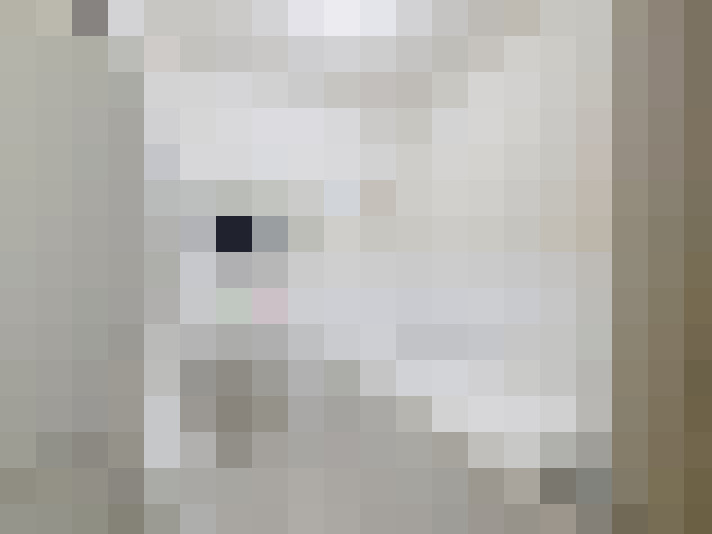  / #15