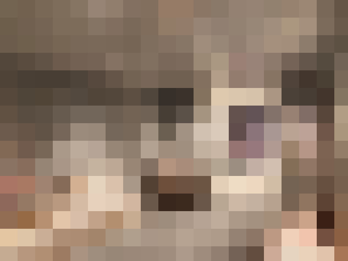  / #23