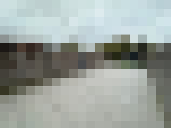  / #15