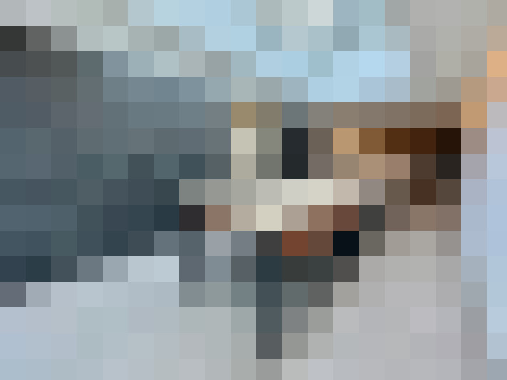  / #7