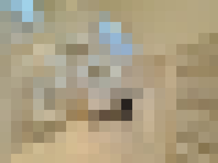  / #16