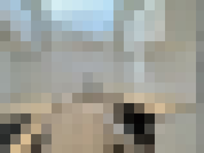  / #8