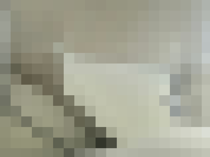  / #11