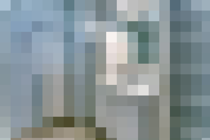  / #19