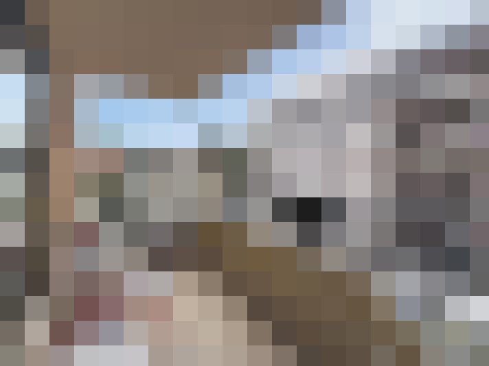  / #12
