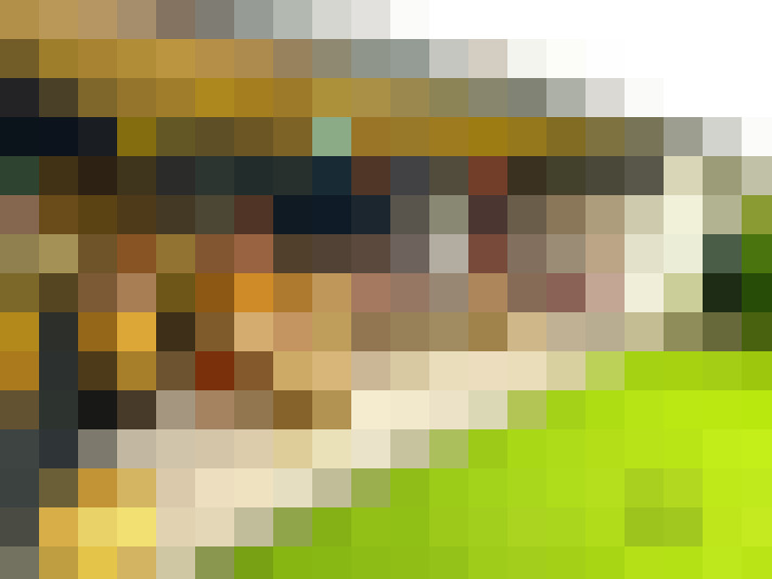  / #14