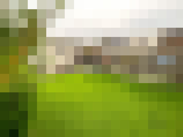  / #15