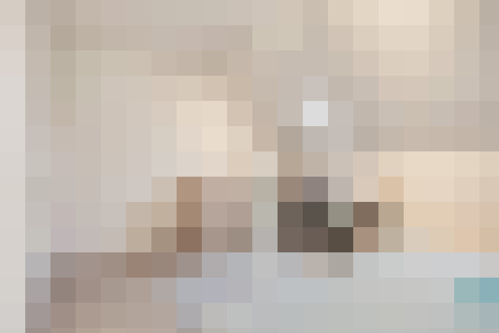  / #15