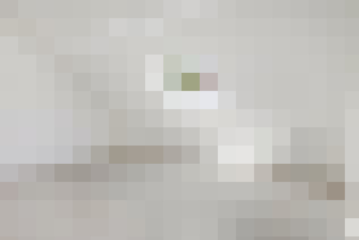  / #24