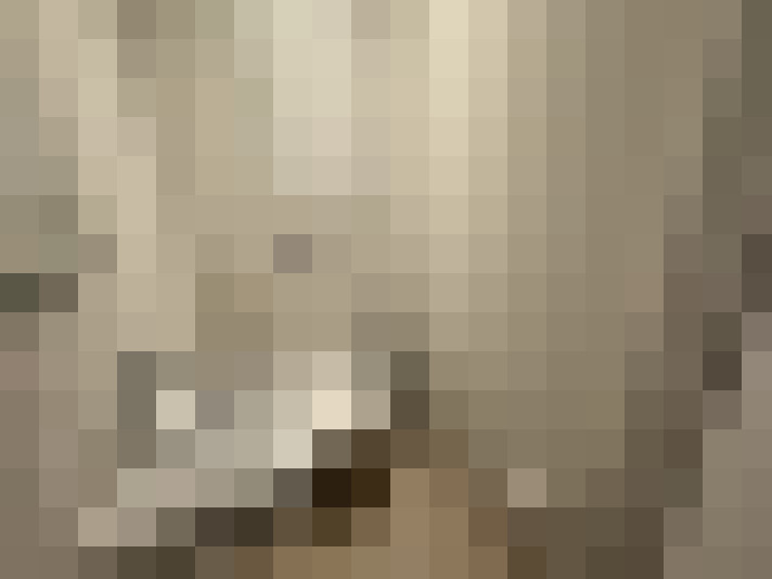  / #8