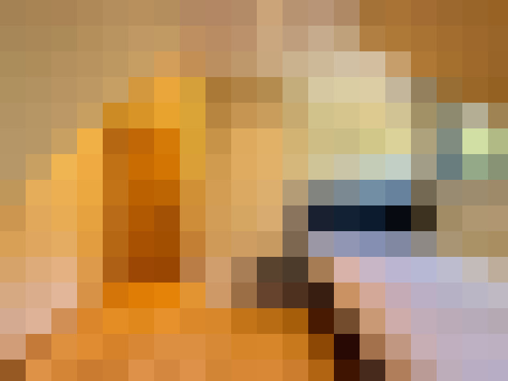  / #19