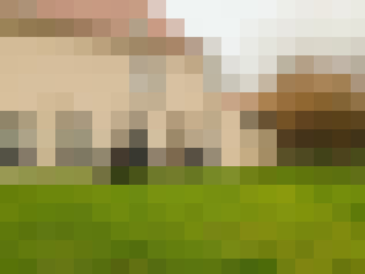  / #15