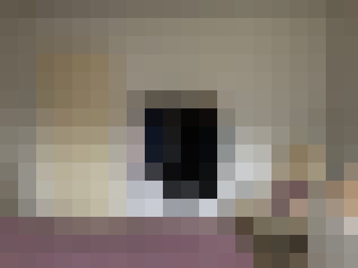 / #11