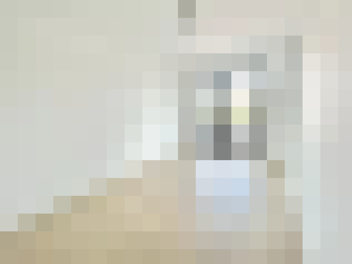  / #17