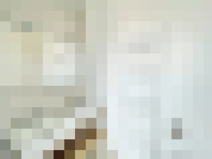  / #13