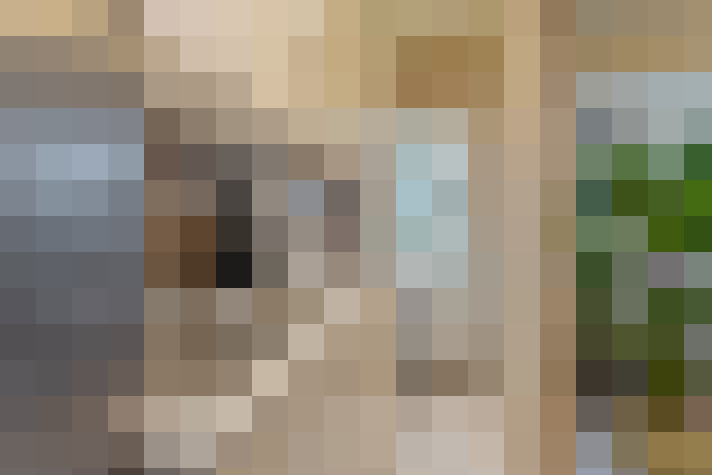  / #7