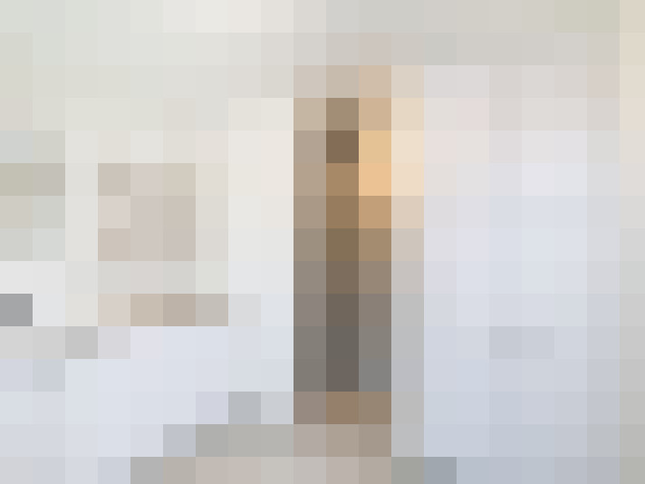  / #17