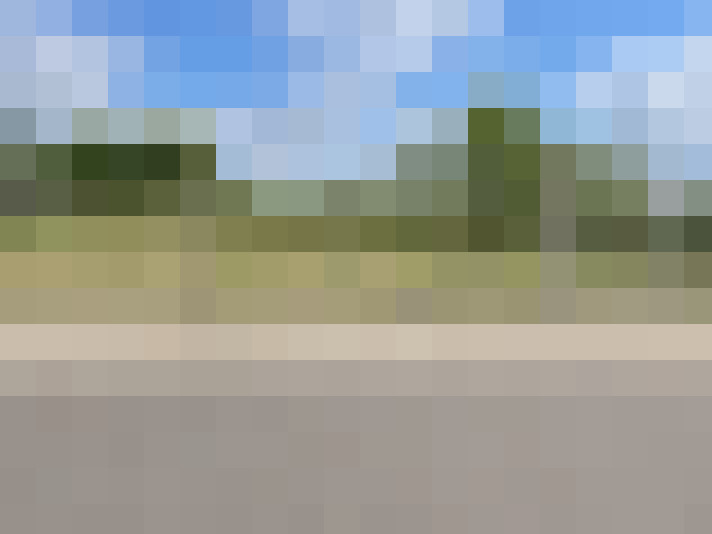  / #15
