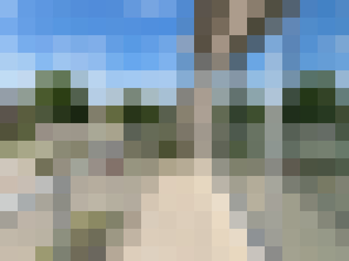  / #13