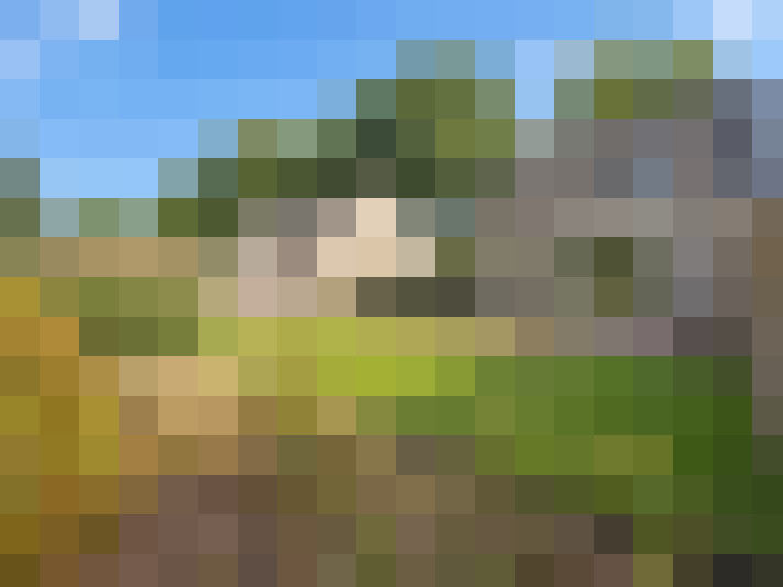  / #19