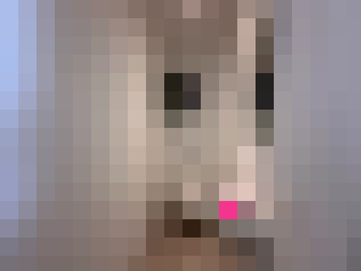  / #13