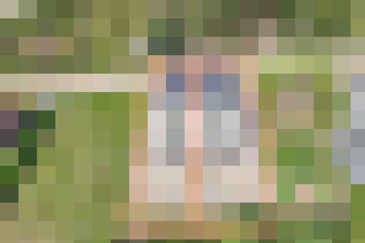  / #19