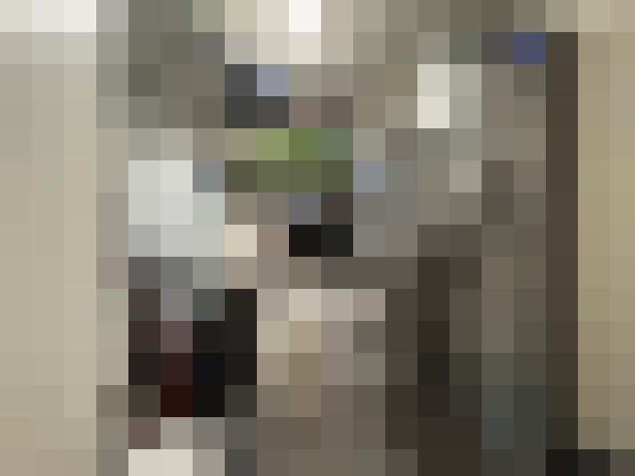  / #13