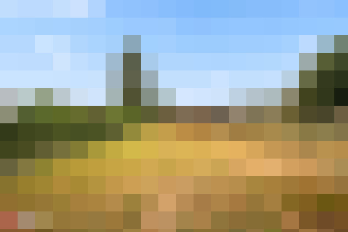  / #12