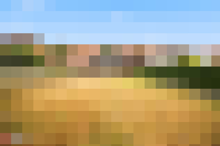  / #13