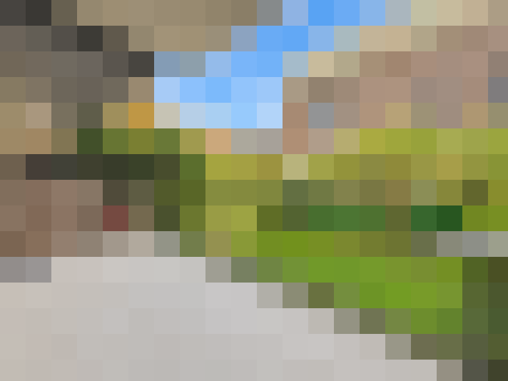  / #9