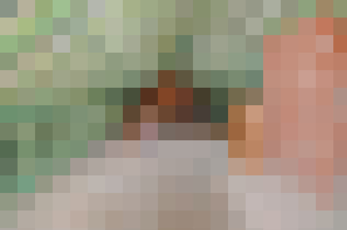  / #14