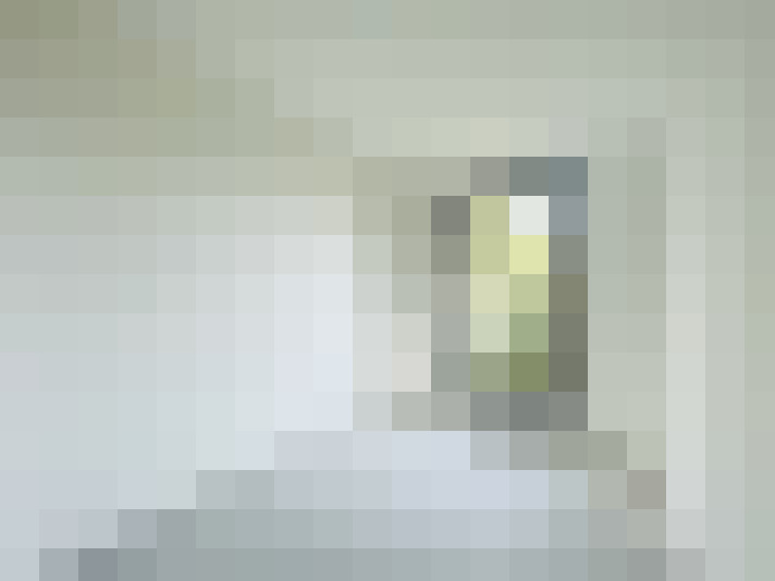  / #15