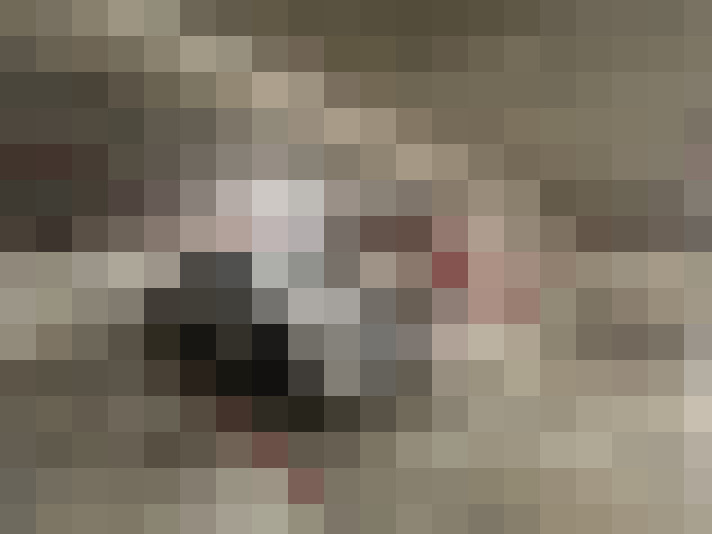 / #14