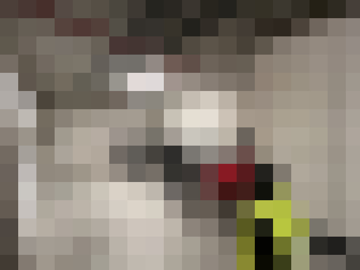  / #15