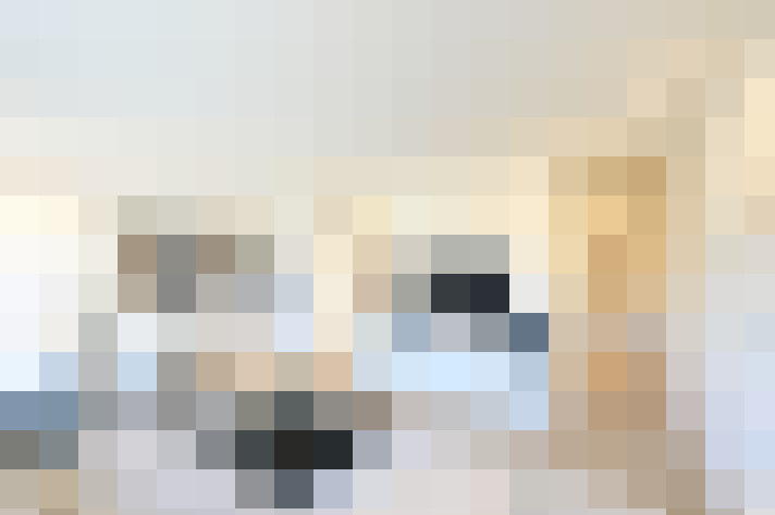  / #17