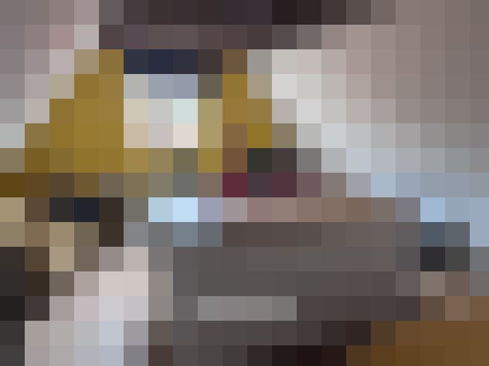  / #15