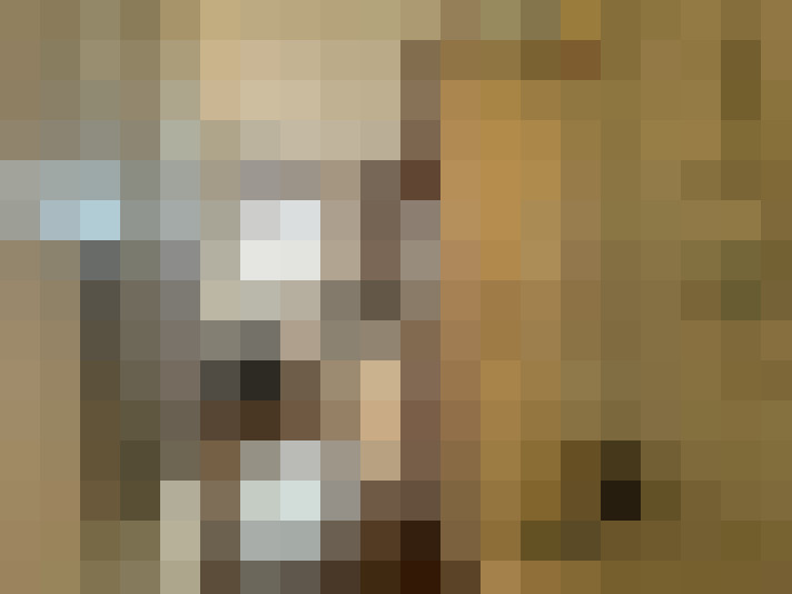  / #19